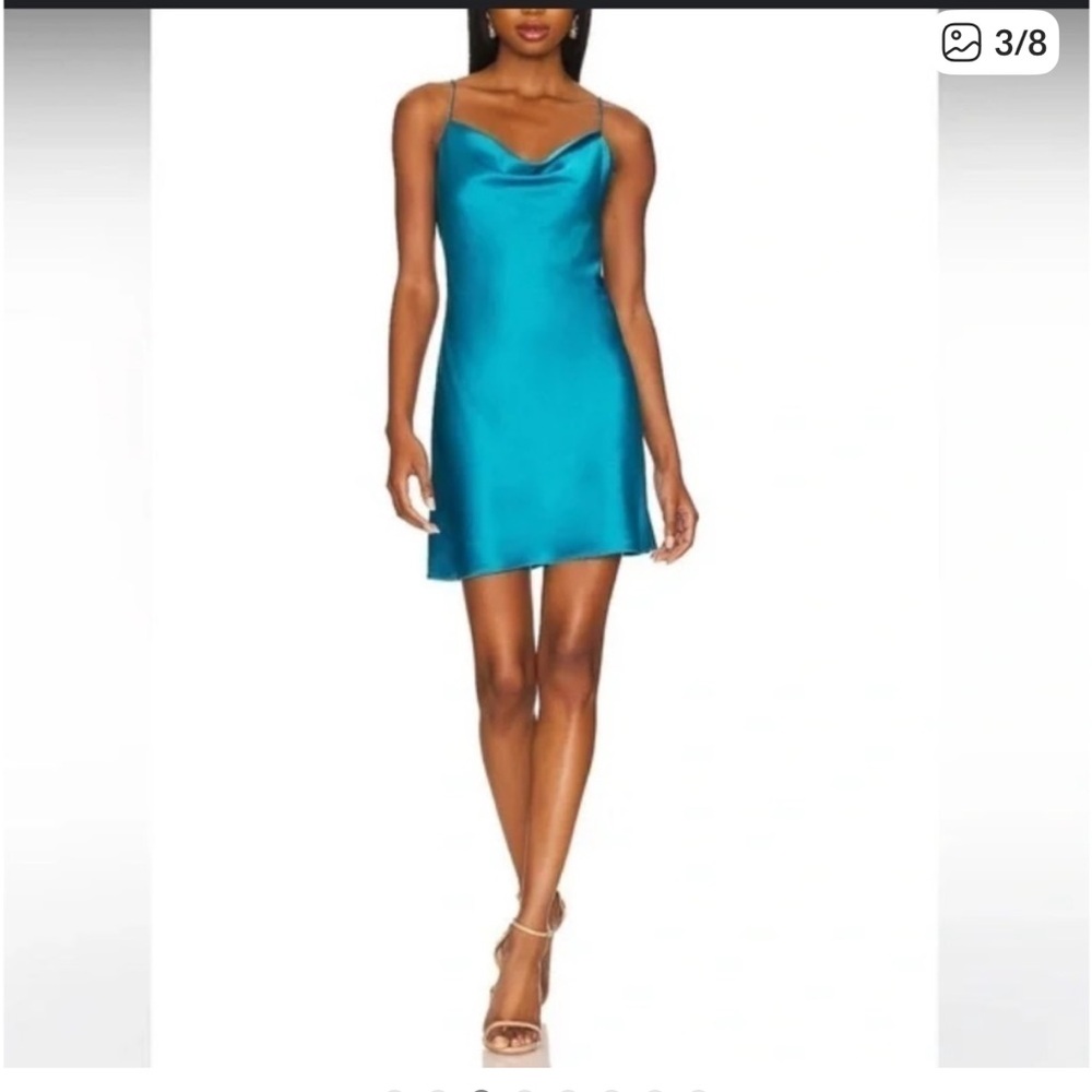 Alice and Olivia dress